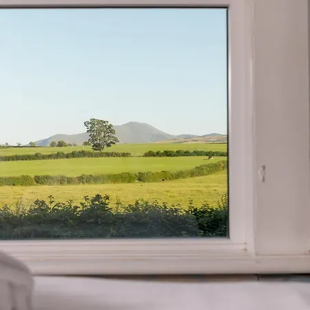 펜션 Big Pink House *